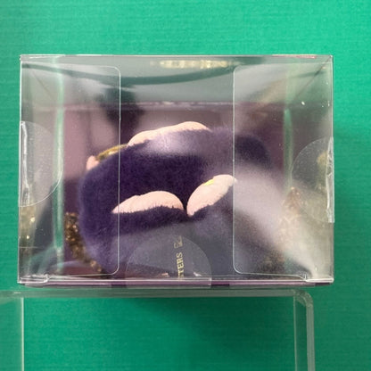 LABUBU x PRONOUNCE - WINGS OF FORTUNE Vinyl Plush Hanging Card