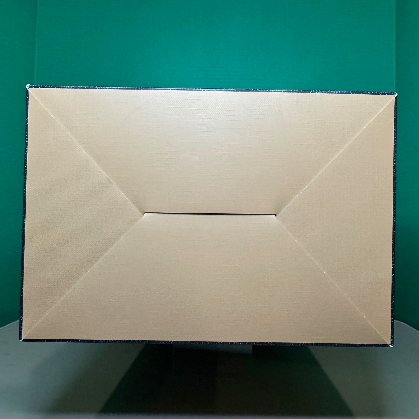 THE MONSTERS FALL IN WILD SERIES - Vinyl Plush Doll